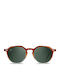 Twig Mailer Unisex Sunglasses with Green Horn-Rimmed Frame and Green Lens MAI02
