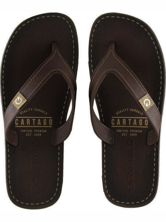 Men's Flip Flops Anatomic Brown