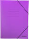 Prespan Folder with Elastic Ears Premium 25x35 ...