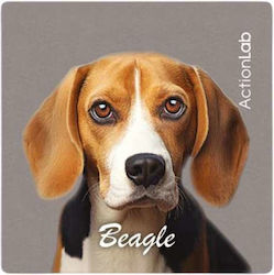 Magnet Beagle Action Lab Magnet Beagle Action Lab