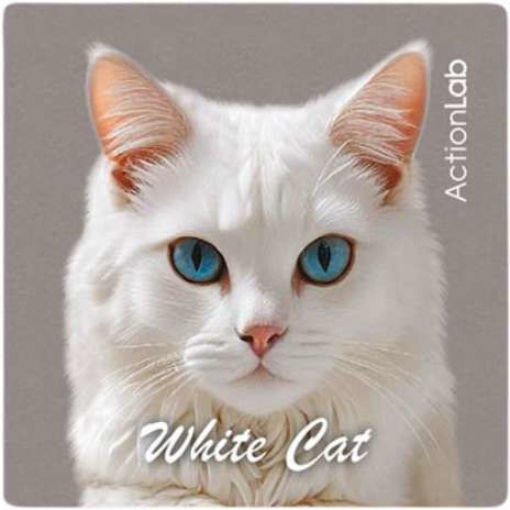 Action Lab Magnet White Cat
