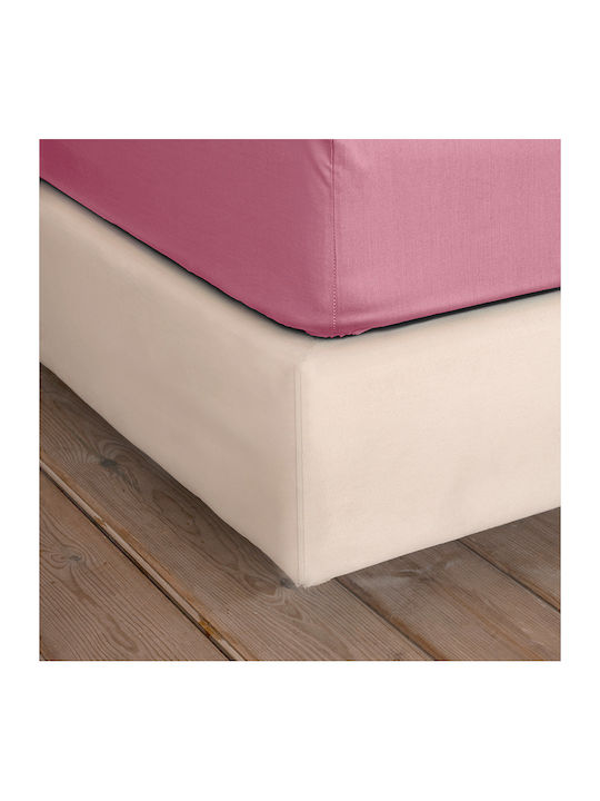 Nima Sheet Super-Double with Elastic 165x205+35...