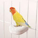 Calcium Stone Perch for Birds – Natural Nail & Beak Filing – Metal Screw M7xπ6.5xυ2.7cm