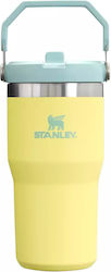 Stanley Iceflow Flip Straw Glass Thermos Stainl...