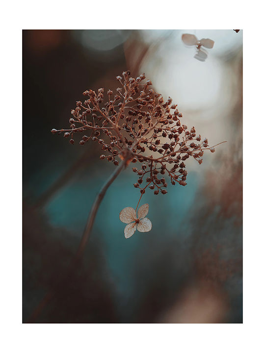 Poster Wild Flower Pst25147 21cm X 30cm