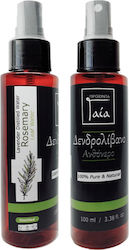 Gaia Products Ανθόνερο Δεντρολίβανου Spray 100ml Gaia Products Ανθόνερο Δεντρολίβανου Spray 100ml
