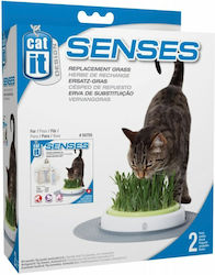 Catit Katzen-Ernährungsergänzungsmittel Gras