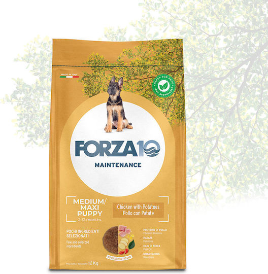 Forza10 Maintenance Junior Mini Κοτόπουλο & Πατάτες 2kg