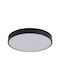 Spot Light Ceiling Mount Light Black with Integrated LED