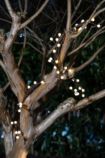 Lightex Hanging Solar Light Garland with Warm White Light 2800K IP44