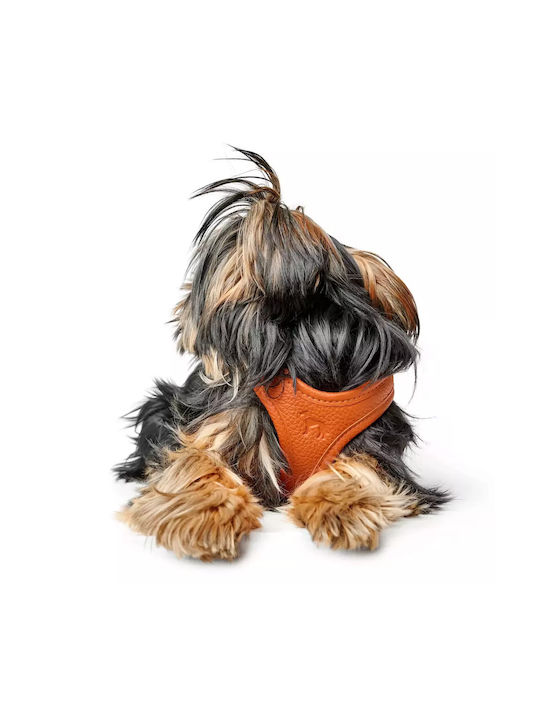 Hunter Harness