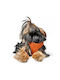 Δερμάτινο Σαμαράκι Hunter Harness Geschirr Hilo 37-40/xs-s Orange