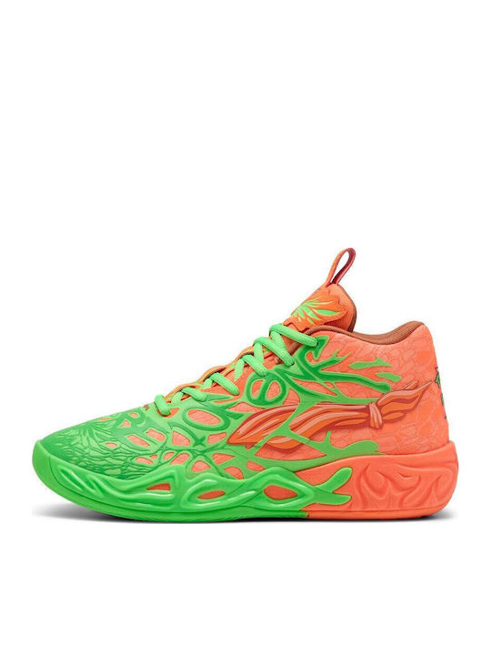 Hoch Basketballschuhe Mehrfarbig