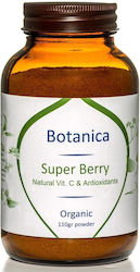 Βιολογικό Mix Φρούτων Σκόνη 110gr Botanica