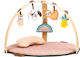 Ludi Baby Activity Gym for 6+ Months
