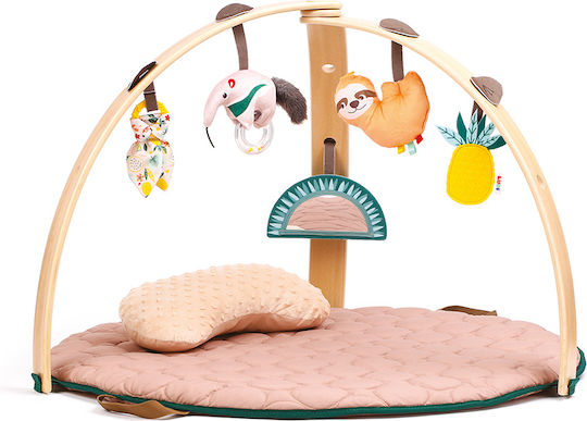 Ludi Baby Activity Gym for 6+ Months