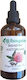 Biogalaxy Βιολογικό Καστορέλαιο Ψυχρής Έκθλιψης 100ml