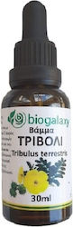 Biogalaxy Βάμμα Τριβόλι Βάμμα 30ml Καραμέλα