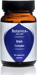 Botanica Bohemia Eisen 60 veg. Kappen Botanica Bohemia Eisen 60 veg. Kappen