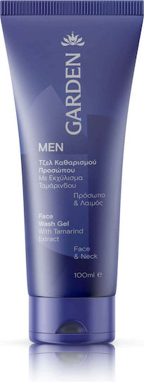 Garden Gel Καθαρισμού Προσώπου για Άνδρες με Αντιοξειδωτική & Κατά των ατελειών δράση 100ml