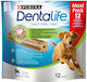 Dentalife Λιχουδιά για Σκύλους κατά της Πέτρας & Πλάκας 426gr