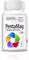 Zenyth PentaMag 355mg 100g 30 Capsule Zenyth PentaMag 355mg 100g 30 Capsule