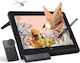 XP-Pen Artist 16 Pro Gen 2 Stilou digital cu ecran 16" și Bluetooth