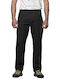 Fanes Pantaloni în Fit Regular Negru