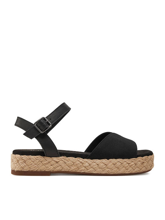 Toms