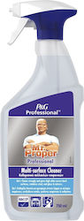 Mr Proper Professioneller Hygiene-Reiniger 3-in-1 750ml