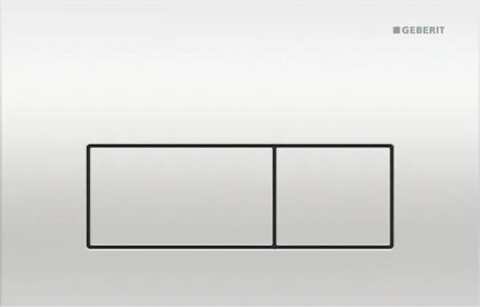 Geberit Flush Plate Dual Flush