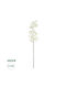 Globostar Ramură Decorativă Artificială Orhidee Albă Y82cm 21409