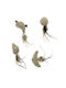 Imac Natural Cat Toy Feathers