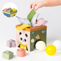 Taf Toys Play & Discover Cube για 6+ Μηνών
