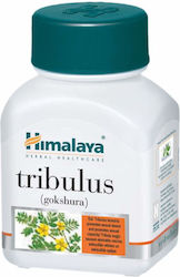 Himalaya Wellness Tribulus Gokshura 60 Capsules Himalaya Wellness Tribulus Gokshura 60 Capsules