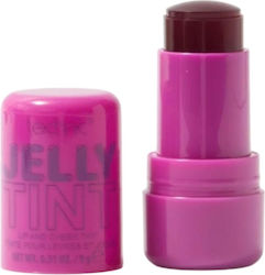 Technic Stick Ρουζ Berry Cool