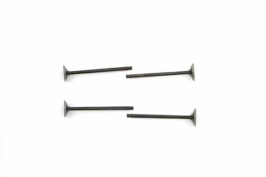 Naraku Intake Exhaust Valve Set Nk600.84 Yamaha Yp R 06-16 Beta Rr Lc Rieju Rs3 11-17 125 Abs Fantic M 18-20