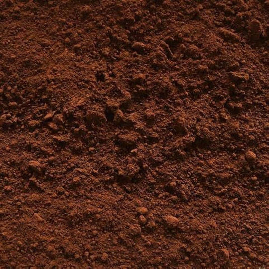 Buonarroti 70g Iconography Powder Brown Van Dyck