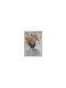 Zen Collection Картина Платнен 72x102см