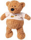 Plush Bear 35 cm