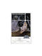 Star Wars Classic Poster 61×91.5 Cm Gpe5130