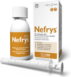Innovet Συμπλήρωμα Διατροφής Σκύλου 100ml Innovet Συμπλήρωμα Διατροφής Σκύλου 100ml