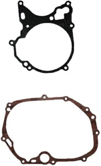 Set garnituri B Kawasaki Max 100cc Roc121328