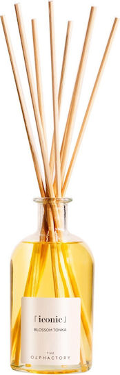 Raumduftstäbchen 250ml Blossom Tonka Ikonischer Diffuser Olphactory