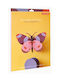 Studio Roof Wall Decor Bellissima Butterfly Ttm144
