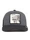 Goorin Bros Racacoonie Hat