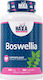 Haya Labs Boswellia Extract 500mg 100 caps