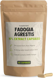 Cupplement Fadogia Agrestis Extract 500mg 60 Capsules Cupplement Fadogia Agrestis Extract 500mg 60 Capsules