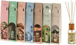 TnS Diffuser 12Stück 50ml TnS Diffuser 12Stück 50ml