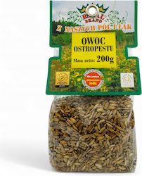 Royal Brand Samen Mariendistel